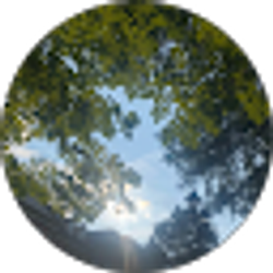 Profile photo of Destiny P.