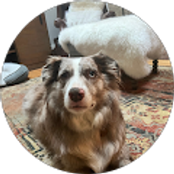 Profile photo of Kim Burkhard