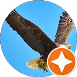 Profile photo of Michael Brown