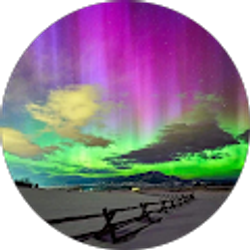 Profile photo of Dianna Skelly