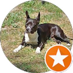 Profile photo of Zachariah Hindman