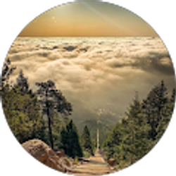 Profile photo of Andrew Brooks