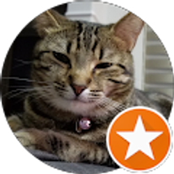 Profile photo of David Wong