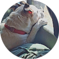 Profile photo of C.J. Frye