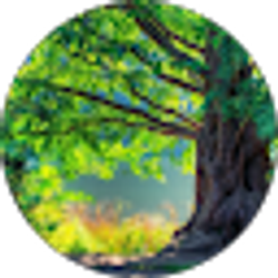 Profile photo of Monserrat Velazquez