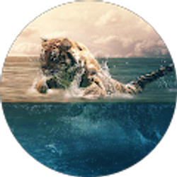 Profile photo of Chozza00 7