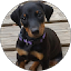 Profile photo of Brenda Alberts