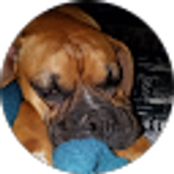 Profile photo of Bailey