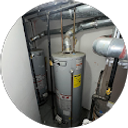 Profile photo of dov best