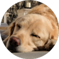 Profile photo of Jeff Dotson