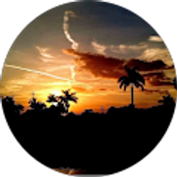 Profile photo of William Wwntz