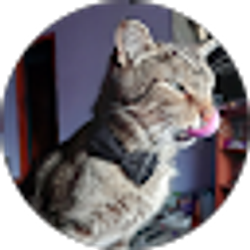 Profile photo of Chasity Rodriguez