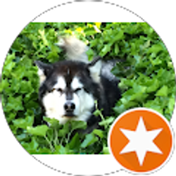 Profile photo of Karen D