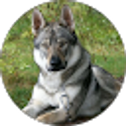 Profile photo of david stamper