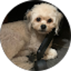 Profile photo of joshua martinez