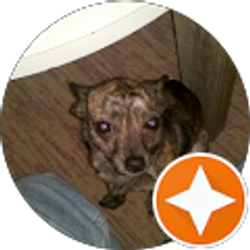 Profile photo of Marvin Hood