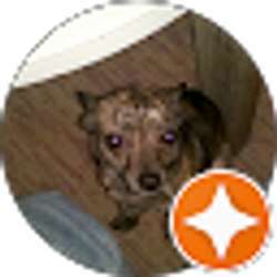 Profile photo of Marvin Hood