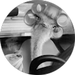 Profile photo of d horzepa