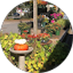 Profile photo of Santa Infante