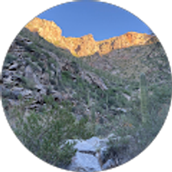 Profile photo of Tim Cadigan