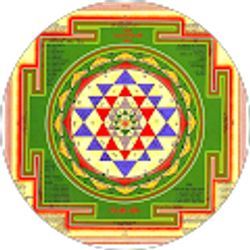 Profile photo of Jigisha Bhatt