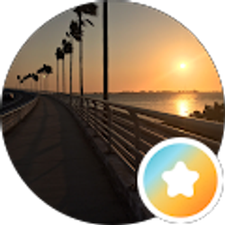 Profile photo of Anyone Anyone