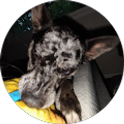 Profile photo of Riley Nelson