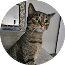 Profile photo of Mis Darling
