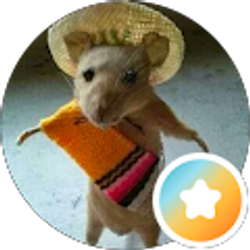 Profile photo of M Mac