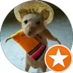 Profile photo of M Mac