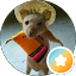 Profile photo of M Mac