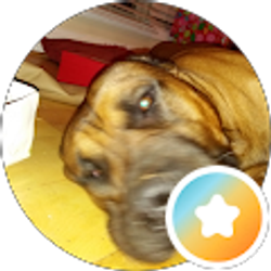 Profile photo of Jessie Ellis