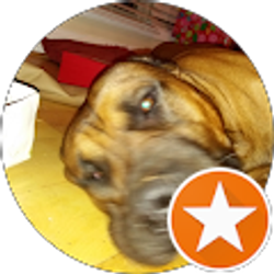 Profile photo of Jessie Ellis