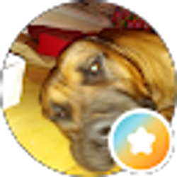 Profile photo of Jessie Ellis