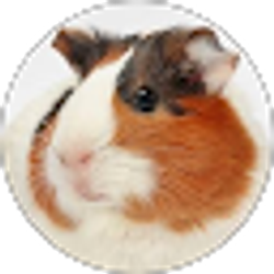 Profile photo of donella clark