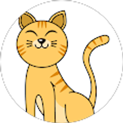 Profile photo of Jennifer Finn