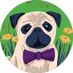 Profile photo of Bobbie Canova