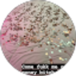 Profile photo of Camren Db
