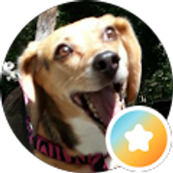 Profile photo of Andre Fox