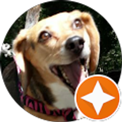 Profile photo of Andre Fox