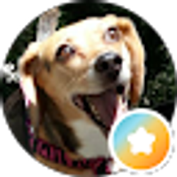 Profile photo of Andre Fox