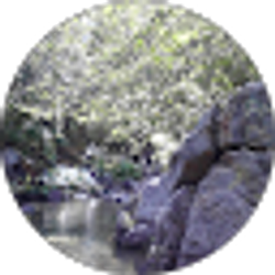 Profile photo of Susan Houg