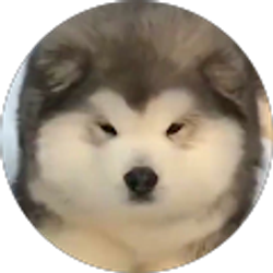 Profile photo of Shango307