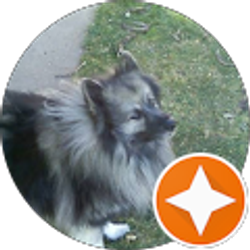 Profile photo of Annie T