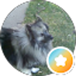Profile photo of Annie T