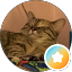 Profile photo of Holly Stauffer