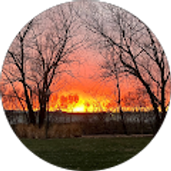 Profile photo of M F