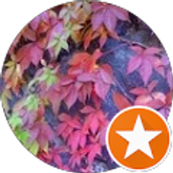 Profile photo of Faith Nunez