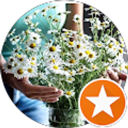 Profile photo of Katerina Miller