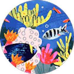 Profile photo of Chucha Chucha